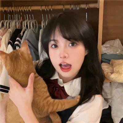 功能失常的猫